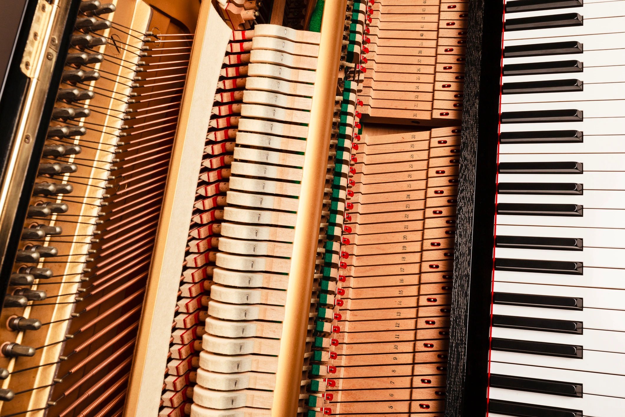 Interior action and strings of an acoustic piano undergoing inspection