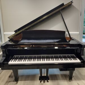 Essex by Steinway GP-161 Player Baby Grand Piano (5'3") – Polished Ebony <span style="color:#8B0000;">(SOLD)</span>