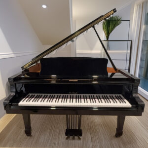 Petrof Model V Baby Grand Piano - Year 1998 - High Gloss Finish